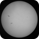 Whole Sun in WL - May 29th, 2025, Michael von Berner-Purgstall