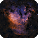 NGC-7822 in Cepheus, Alberto Lopez