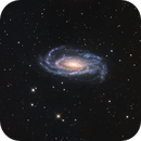 NGC 5033, Daniel Carter