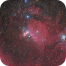 The Orion's Belt and Its Beautiful Nebulae, Nicolas Adriano Faria Sanches