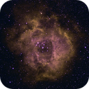 Rosette Nebula, Mike Conway