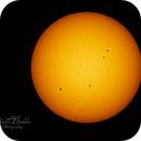 Sun (27/04/2025), Matt Beddis