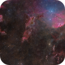 CG30 and CG31 - Wide Field View, John Dziuba