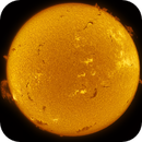 The Sun - 02.07.2025 - 17:03, Jan Erik Vallestad