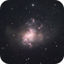 NGC 1313 (ESO 82-11), Eduardo Rigoldi Fernandes