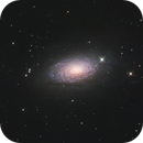 M63, Detlef Scholz