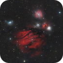 Angel Nebula Closeup - Monoceros vdB67 vdB68 vdB69 NGC2170 (Wide Field), Mau_Bard