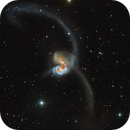 NGC4038, Wolfgang Promper