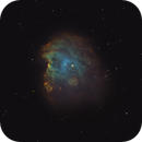 Monkey Head Nebula, Katie A