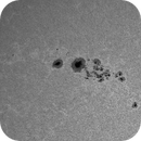 Sun Calcium 393.4 nm 16.06.2025, Olegs_Astrophotography