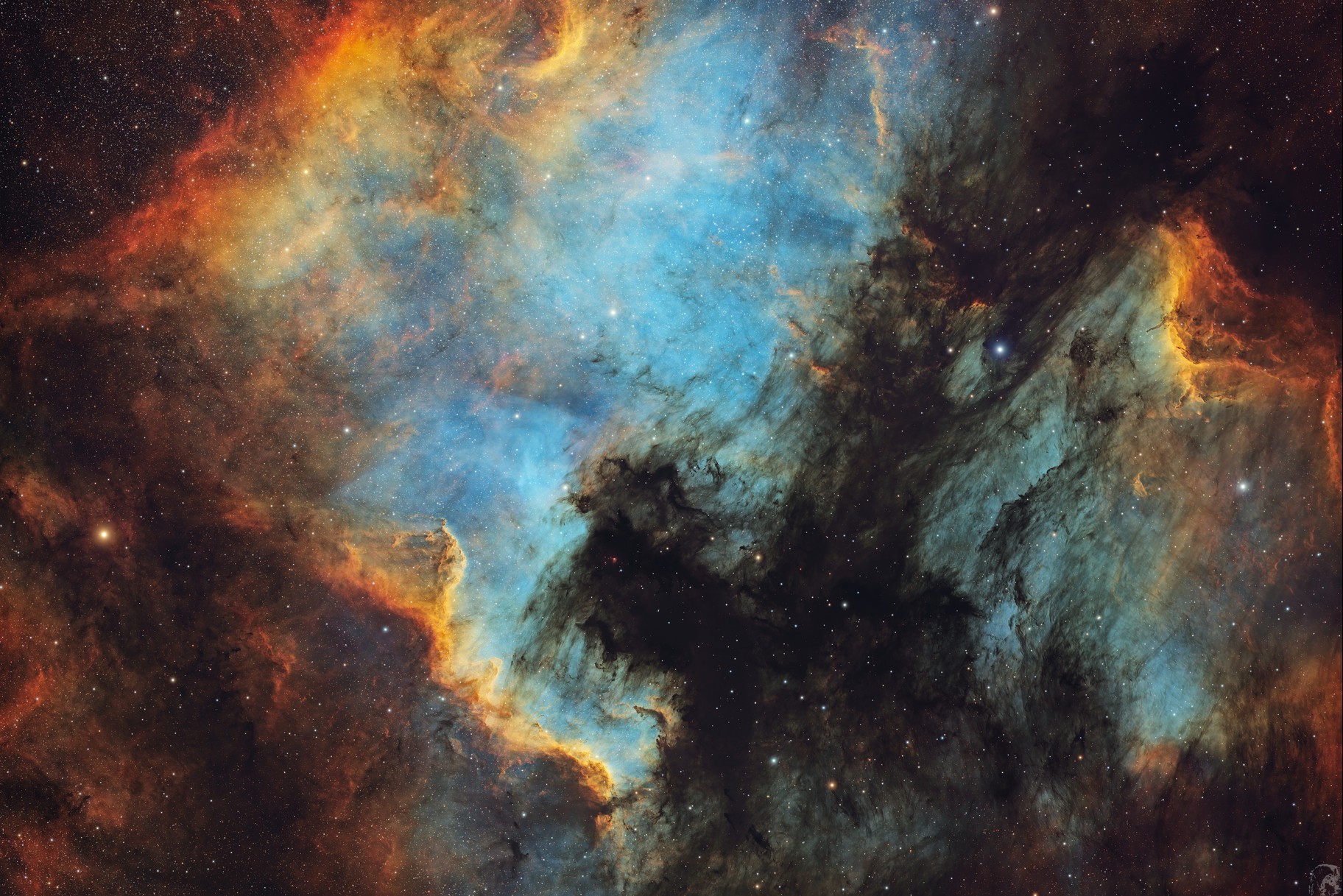 NGC 7000