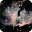 Seagull Nebula IC 2177 SHO, Peter Bresler