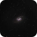 NGC 3359 Spiral Galaxy, Roger Menard