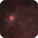 IC5146 (Cocoon Nebula in Cygnus), NGC7209 (Open cluster in Lacerta) and its dark Nebulas (Barnard 168), Mickaelle (kaelig)