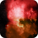 North American Nebula NGC 7000 SHO, Peter Bresler