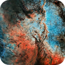 NGC 6188, 6193,  6164/5: Interesting Stuff (see writeup), Alex Woronow
