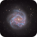 M 83 - The Southern Pinwheel Galaxy in LRGBHO, Michelle Bennett