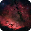 Gum 10 / RCW19 - OB association with emission nebula in Puppis, Michelle Bennett