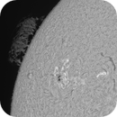 Sun close up of AR4136 in H-Alpha 11th of July 2025, Arne Danielsen