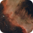 The Cygnus Wall - a work in progress, Flemming Kristensen