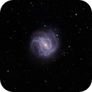 M83 (NGC 5236) Southern Pinwheel Galaxy, Charles Martin