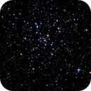 M41, Catherine Ryan Hyde