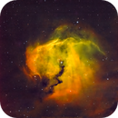 Seagull's Head (IC 2177) via Telescope.live, Jason Cropper