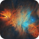 43 hours of Christmas Tree Nebula in SHORGB, Alex Varakin