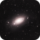Sunflower Galaxy, Bozo