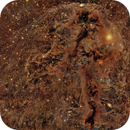 LDN 1251: A Dark Nebula with Complexities, Alex Woronow