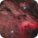 Pelican Nebula - HO_RGB, Almos Balasi