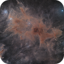 Fighting Dragons in Cepheus LRGB - 2x1 Mosaic, Tom Dinneen