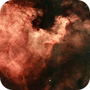 North America Nebula (NGC 7000), Daniel Medeiros