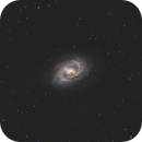 NGC 6300, Frank Alvaro