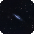 NGC 4236, Bozo