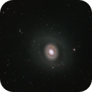 M94 Galaxy with lots of surround galaxies!, Dennis Meng