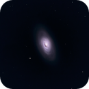 M64, the Black Eye Galaxy, Catherine Ryan Hyde