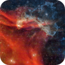 LBN437 (Gecko Nebula) and Sh2-126 (The Great Lacerta Nebula) in HOO, RichR