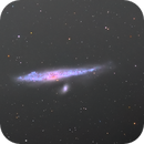 NGC 4631, John Leader