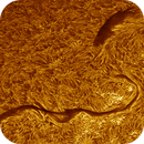 Sun H-alpha: Chromosphere 29.04.2025, Olegs_Astrophotography