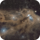 Corona Australis - 4 panel mosaic, Anne-Maree McComb