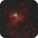 Earl Sinclair was here! -NGC 1491 The Fossil Footprint Nebula, Niko Geisriegler