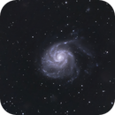 Pinwheel Galaxy, Bozo