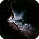 Wizzard Nebula SH2-142 SHO, Peter Bresler