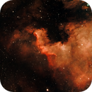 Cygnus Wall in Hyperstar, Bozo