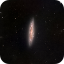 M 108 Surfboard Galaxy, Olaf Fritsche