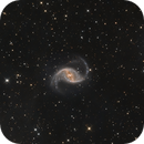 NGC 1530, Roberto Marinoni