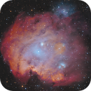 NGC2174, Monkey Head Nebula, Thorsten Glebe