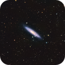 NGC 253: Chaotic Dust Lanes and Star-Burst Activity, Alex Woronow