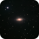 NGC 3521, Peter Bresler
